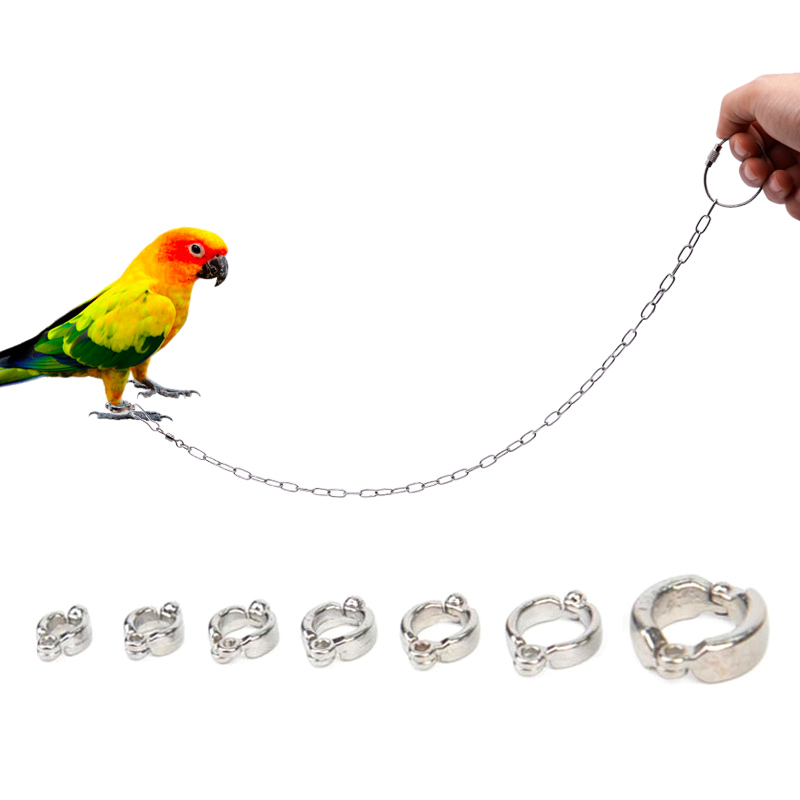 Edelstahl Papagei Bein Ring mi – Anklet Foot Chain Bewertung und Preis